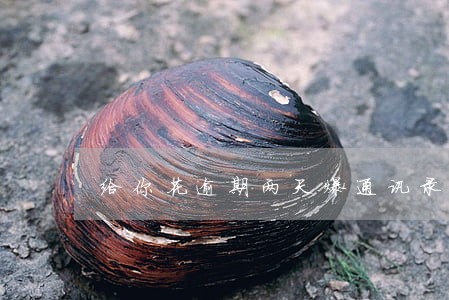 给你花逾期两天爆通讯录吗 给你花逾期两天爆通讯录吗