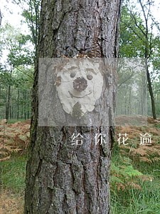 给你花逾期费用是多少钱 给你花逾期费用是多少钱