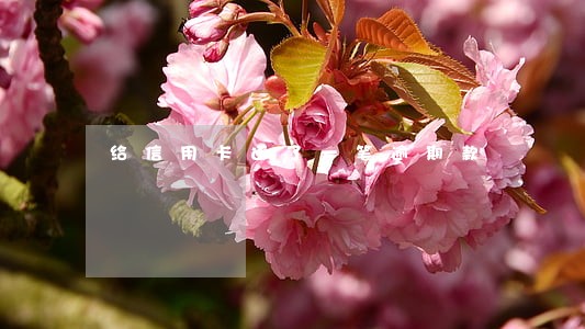 给信用卡还了一笔逾期款 给信用卡还了一笔逾期款