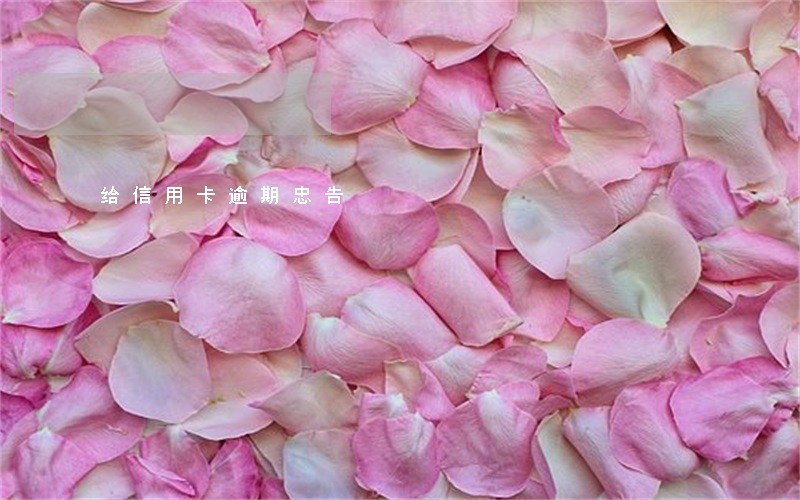 给信用卡逾期忠告 给信用卡逾期忠告
