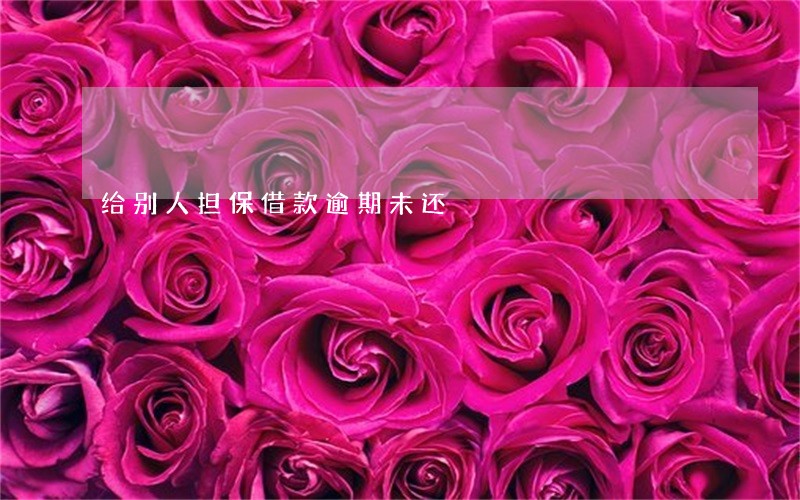 给别人担保借款逾期未还 给别人担保借款逾期未还