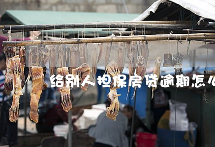给别人担保房贷逾期怎么办 给别人担保房贷逾期怎么办