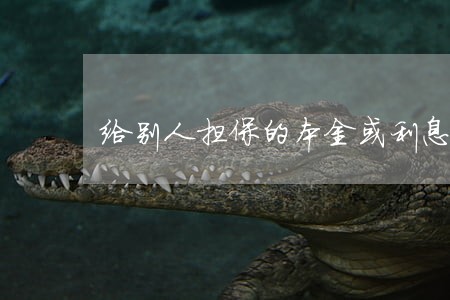 给别人担保的本金或利息逾期 给别人担保的本金或利息逾期