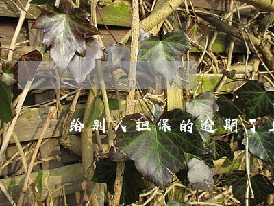 给别人担保的逾期了上征信 给别人担保的逾期了上征信