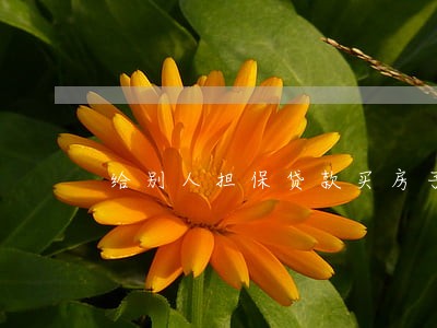 给别人担保贷款买房子有逾期 给别人担保贷款买房子有逾期
