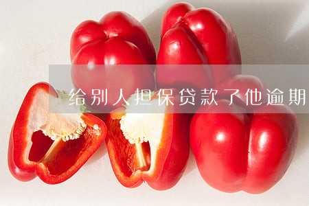 给别人担保贷款了他逾期没还 给别人担保贷款了他逾期没还