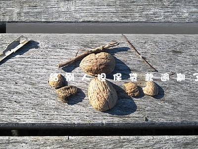 给别人担保贷款逾期了几天