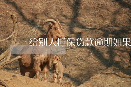 给别人担保贷款逾期如果换上 给别人担保贷款逾期如果换上