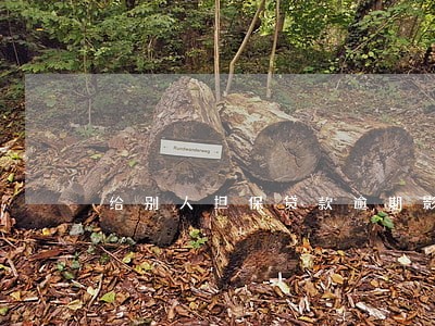 给别人担保贷款逾期影响 给别人担保贷款逾期影响