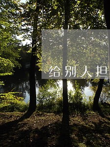 给别人担保车贷逾期了怎么办