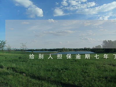 给别人担保逾期七年了征信