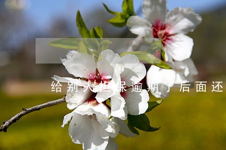 给别人担保逾期了后面还了