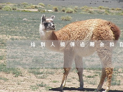 给别人担保逾期会扣自己工资吗