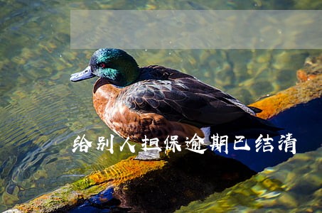 给别人担保逾期已结清