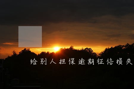 给别人担保逾期征信损失 给别人担保逾期征信损失
