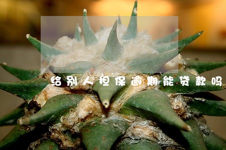 给别人担保逾期能贷款吗 给别人担保逾期能贷款吗