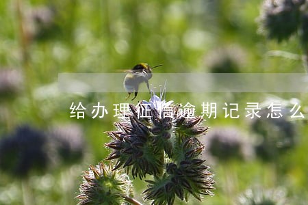 给办理征信逾期记录怎么能消除