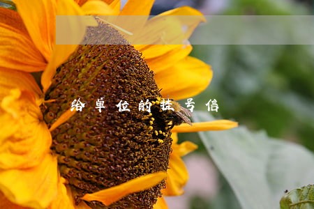 给单位的挂号信