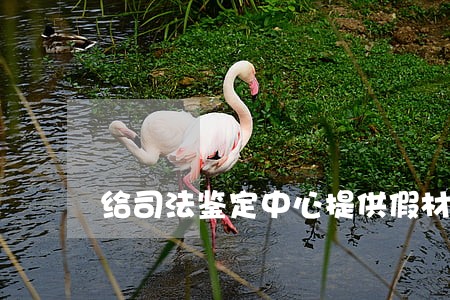 给司法鉴定中心提供假材料 给司法鉴定中心提供假材料