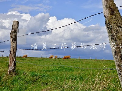 给员工降薪的法律咨询 给员工降薪的法律咨询