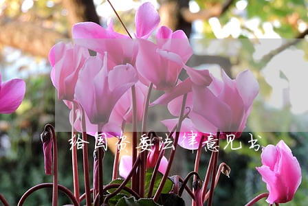 给国资委法律意见书