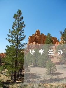 给学生办贷款逾期率高吗 给学生办贷款逾期率高吗