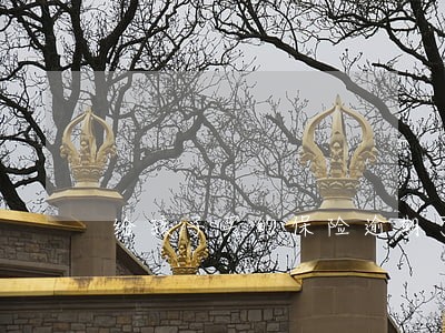 给孩子买的保险逾期了怎么办 给孩子买的保险逾期了怎么办