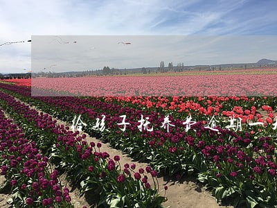 给孩子抚养费逾期一天会怎么样 给孩子抚养费逾期一天会怎么样