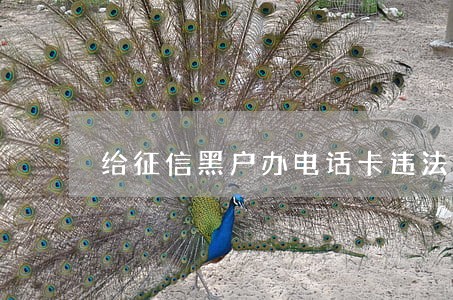给征信黑户办电话卡违法吗 给征信黑户办电话卡违法吗