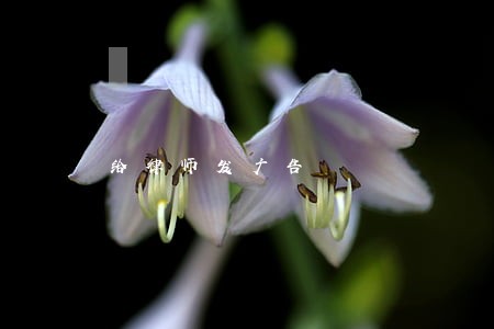 给律师发广告 给律师发广告