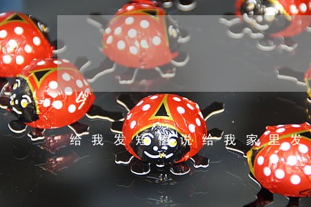 给我发短信说给我家里发律师函 给我发短信说给我家里发律师函
