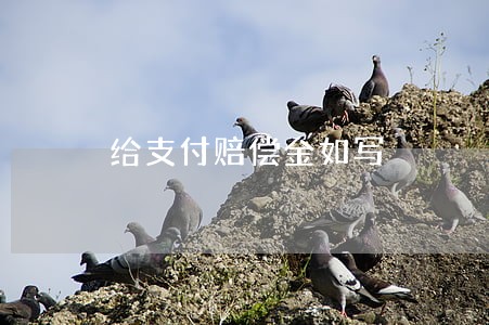 给支付赔偿金如写