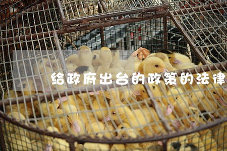 给政府出台的政策的法律意见书 给政府出台的政策的法律意见书