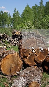 给政府贷款逾期 给政府贷款逾期
