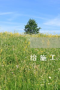 给施工单位逾期告知函 给施工单位逾期告知函