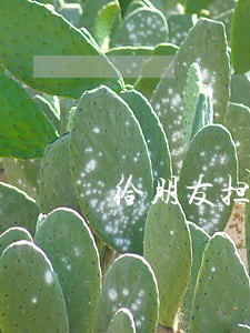 给朋友担保逾期我会上黑名单吗 给朋友担保逾期我会上黑名单吗