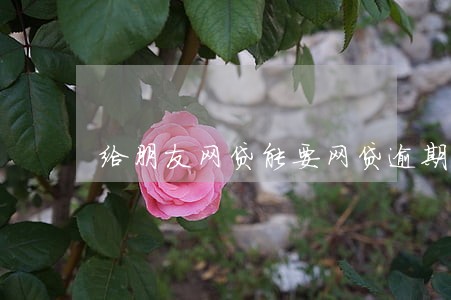 给朋友网贷能要网贷逾期费吗 给朋友网贷能要网贷逾期费吗