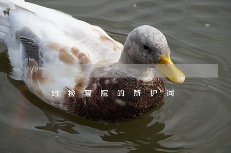 给检察院的辩护词 给检察院的辩护词