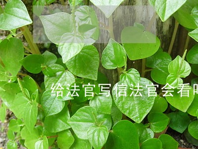 给法官写信法官会看吗 给法官写信法官会看吗