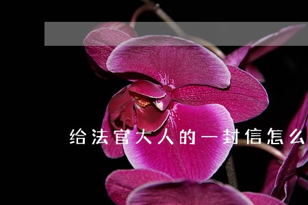 给法官大人的一封信怎么写 给法官大人的一封信怎么写
