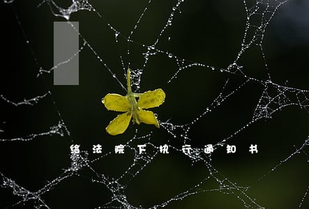 给法院下执行通知书 给法院下执行通知书