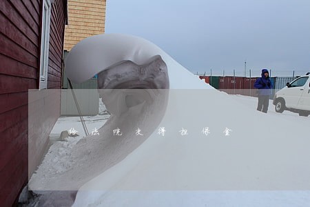 给法院交得担保金 给法院交得担保金