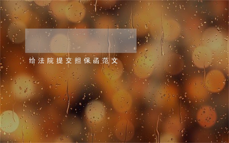 给法院提交担保函范文