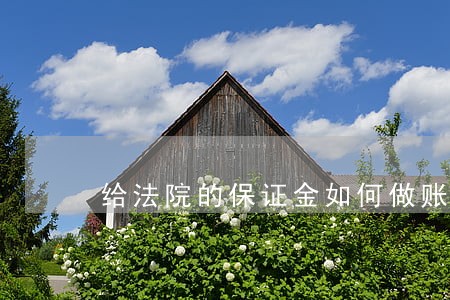给法院的保证金如何做账
