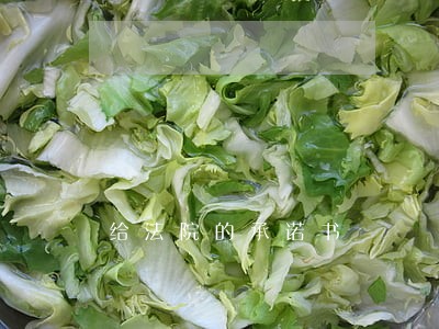给法院的承诺书