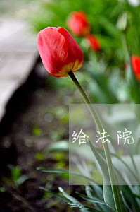 给法院的证据还能拿回来吗 给法院的证据还能拿回来吗