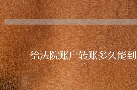 给法院账户转账多久能到账 给法院账户转账多久能到账