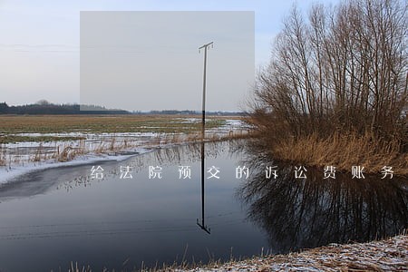 给法院预交的诉讼费账务处理 给法院预交的诉讼费账务处理