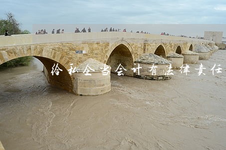 给私企当会计有法律责任吗 给私企当会计有法律责任吗