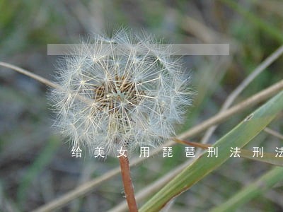 给美女用琵琶刑法刑法视频 给美女用琵琶刑法刑法视频
